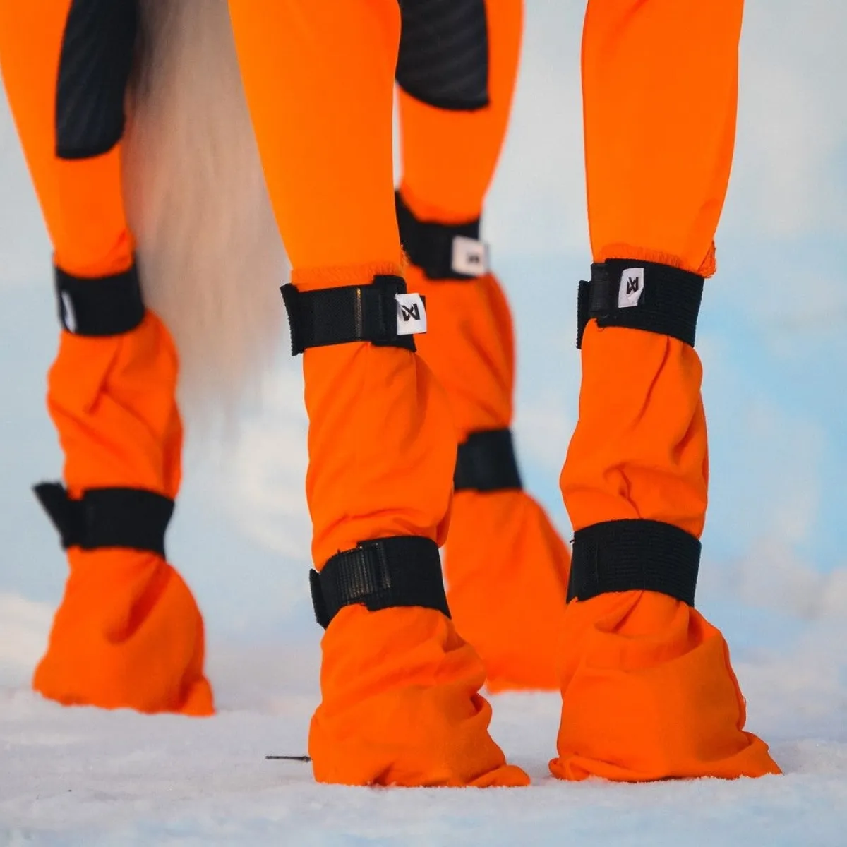Non-stop dogwear Koiran Vaatteet|Koiran Tossut*Non-Stop Contact pitkävartiset tossut, 4kpl