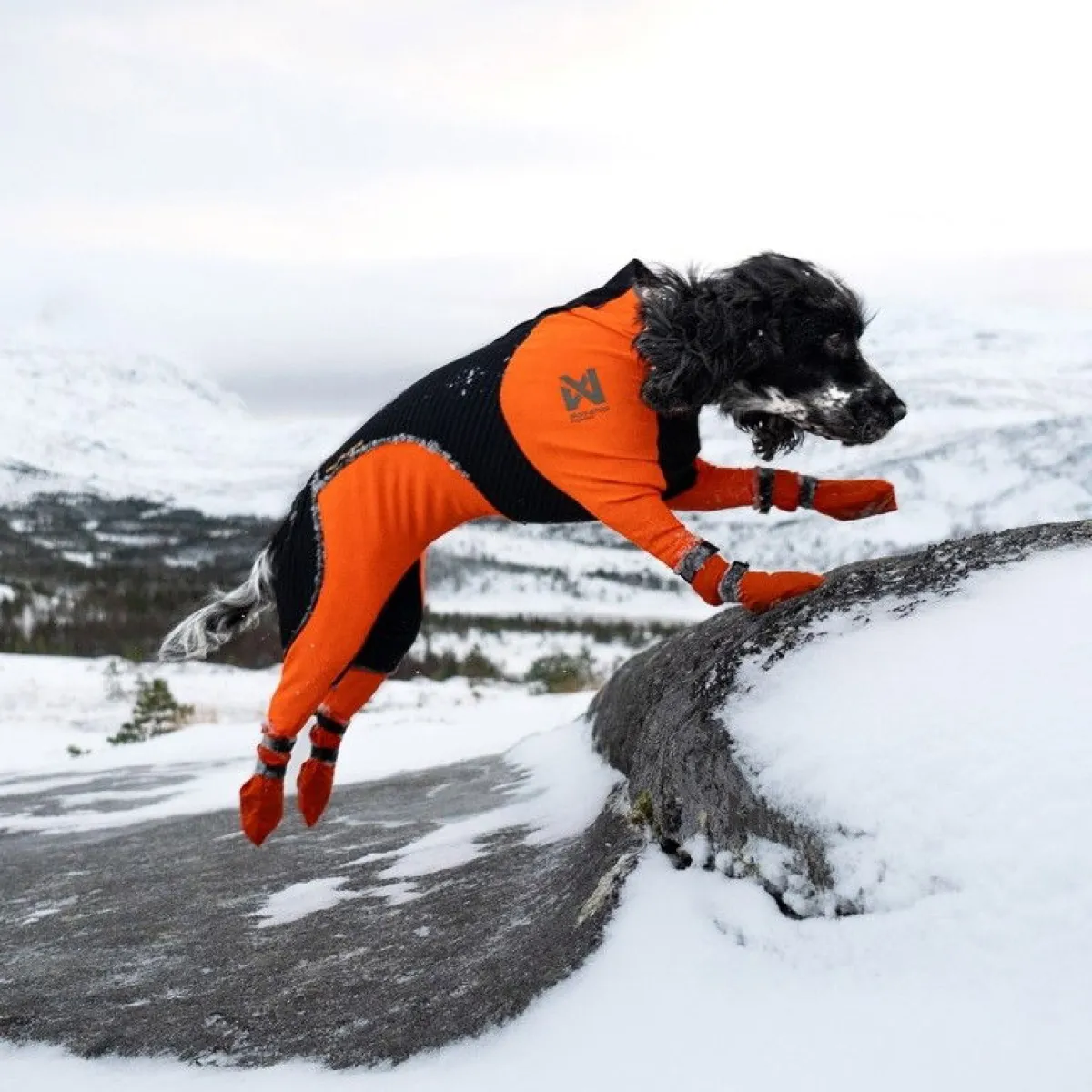 Non-stop dogwear Koiran Vaatteet|Koiran Tossut*Non-Stop Contact pitkävartiset tossut, 4kpl