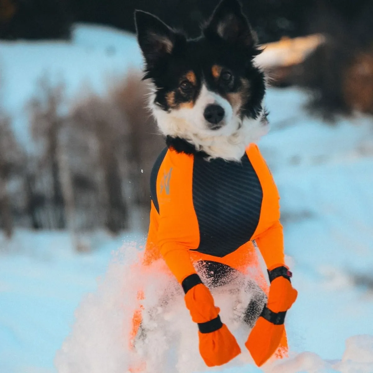 Non-stop dogwear Koiran Vaatteet|Koiran Tossut*Non-Stop Contact pitkävartiset tossut, 4kpl