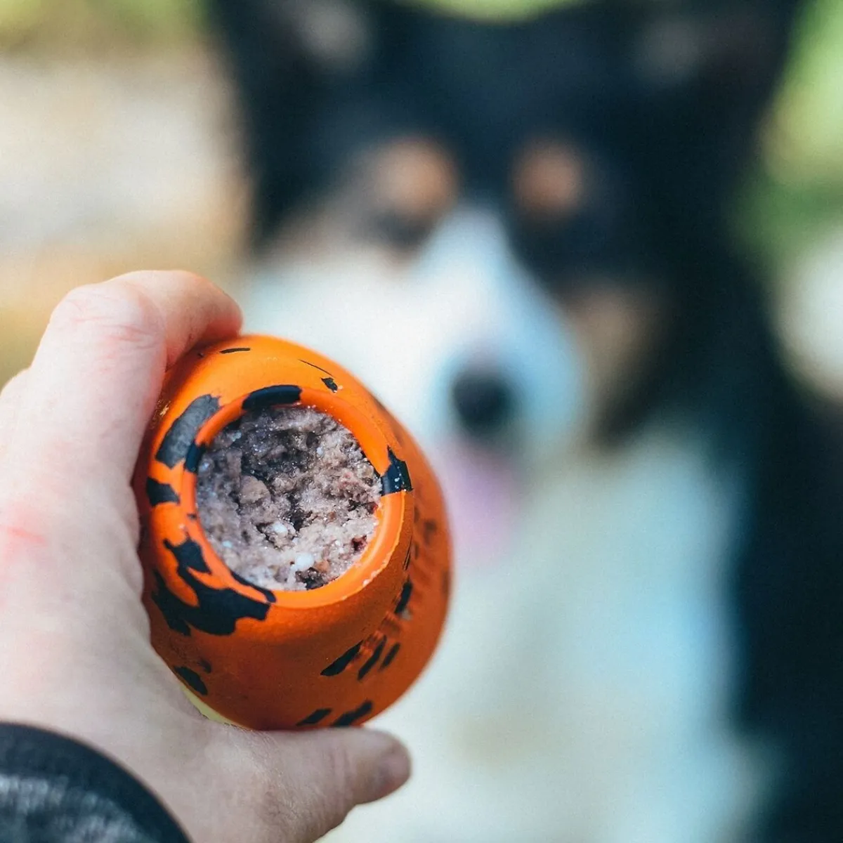 Non-stop dogwear Koiran Pallot Ja Heittolelut*Non-Stop Dog kuminen aktivointilelu