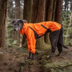 Non-stop dogwear Koiran Haalarit|Koiran Vaatteet*Fjord 2.0 sadehaalari koiralle