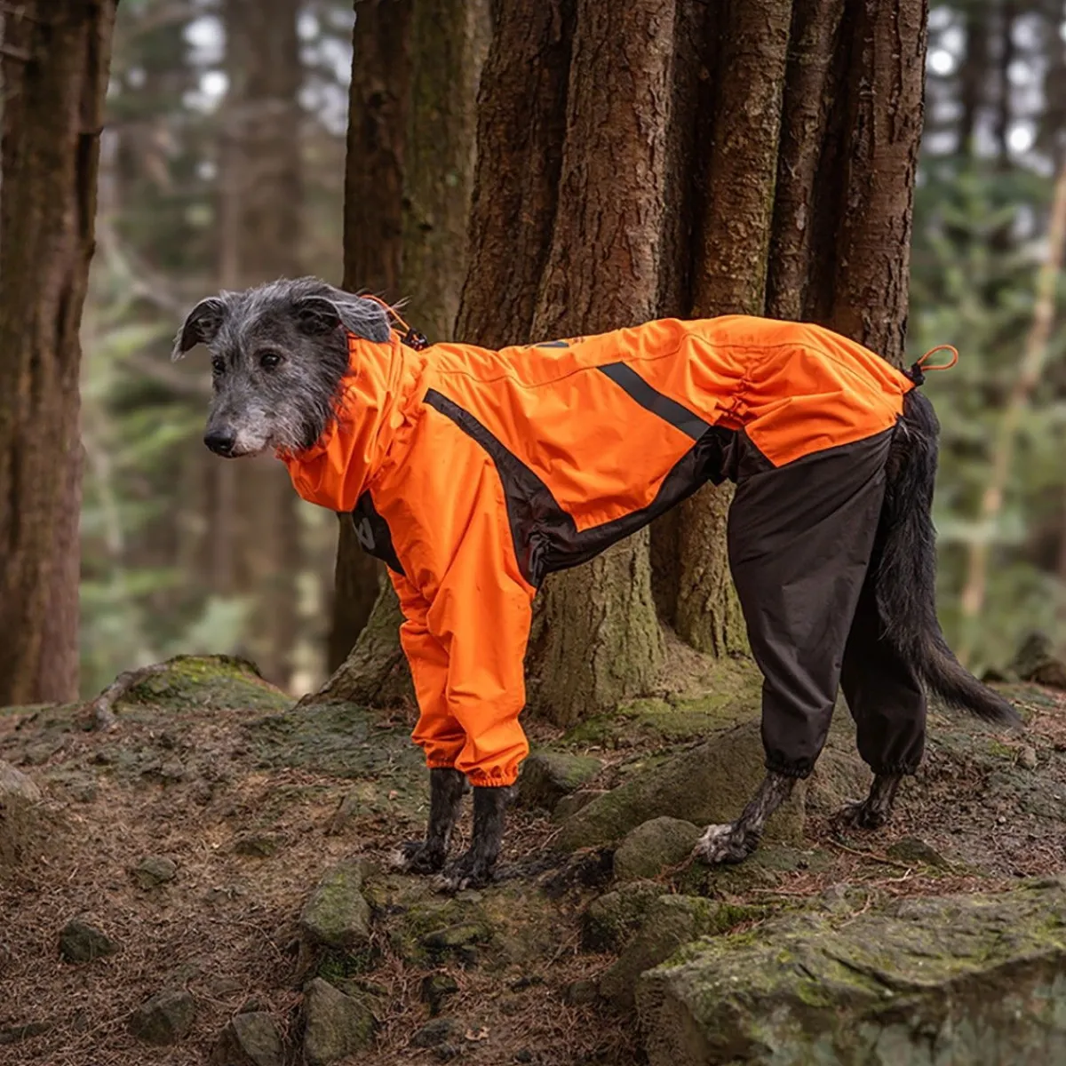 Non-stop dogwear Koiran Haalarit|Koiran Vaatteet*Fjord 2.0 sadehaalari koiralle