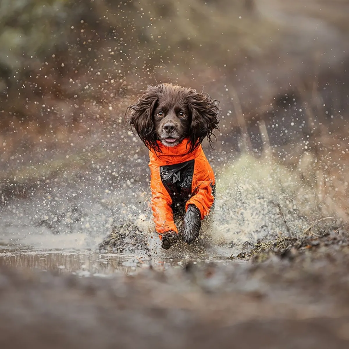 Non-stop dogwear Koiran Haalarit|Koiran Vaatteet*Fjord 2.0 sadehaalari koiralle