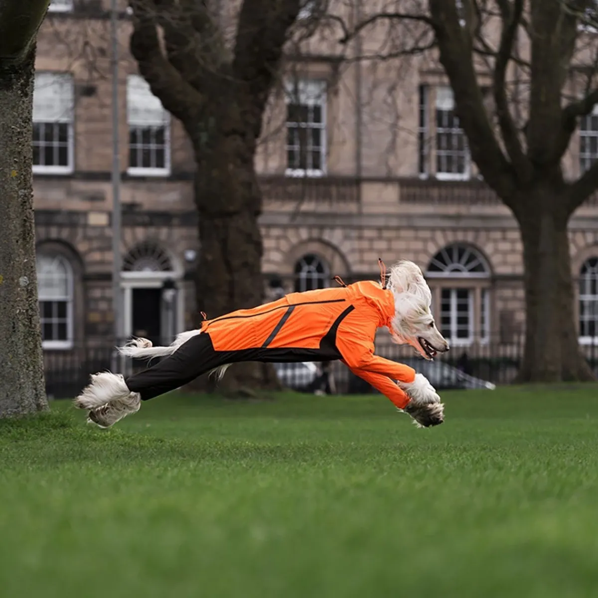 Non-stop dogwear Koiran Haalarit|Koiran Vaatteet*Fjord 2.0 sadehaalari koiralle