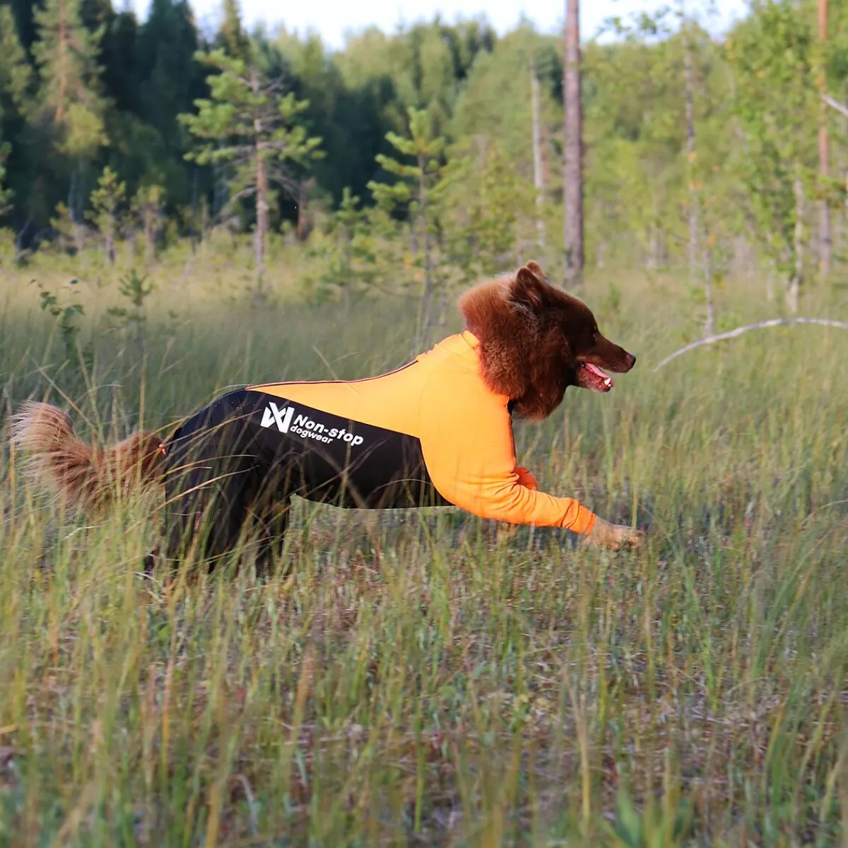 Non-stop dogwear Koiran Haalarit|Koiran Vaatteet*Protector puku, narttumalli