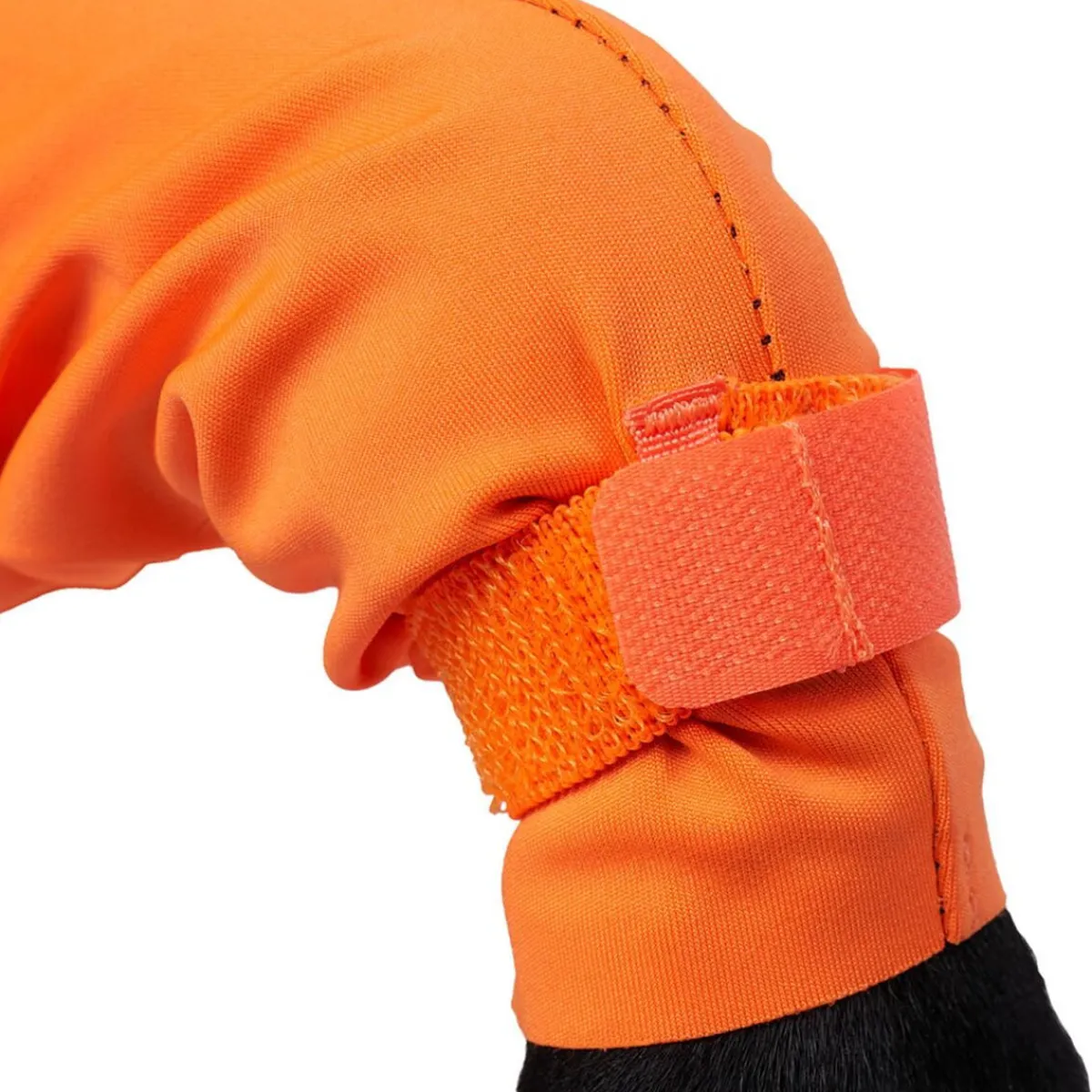 Non-stop dogwear Koiran Haalarit|Koiran Vaatteet*Protector puku, narttumalli