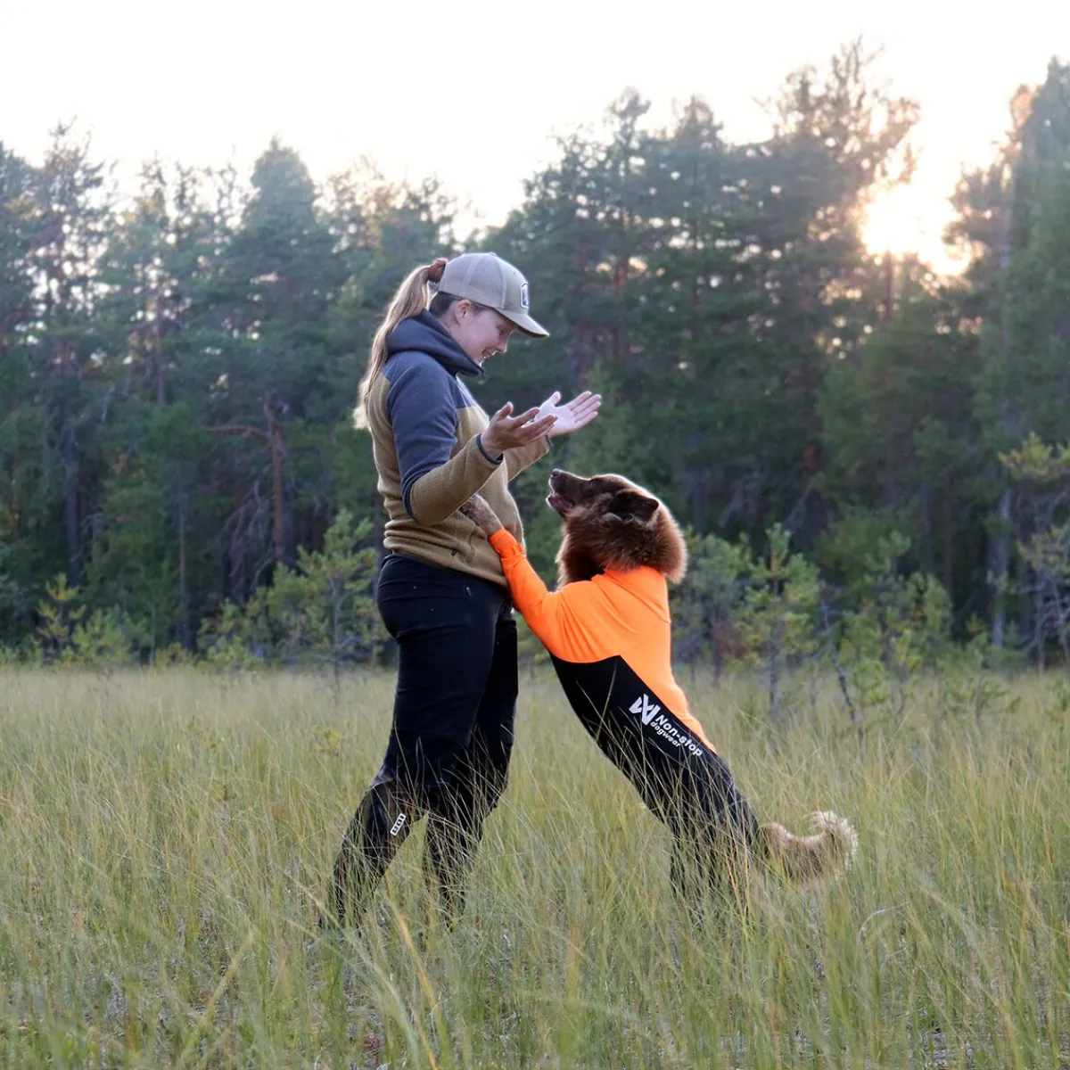 Non-stop dogwear Koiran Haalarit|Koiran Vaatteet*Protector puku, narttumalli