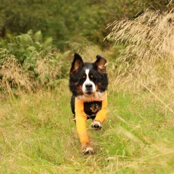 Non-stop dogwear Koiran Haalarit|Koiran Vaatteet*Protector puku, narttumalli