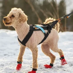 Non-stop dogwear Koiran Valjaat|Retkeily Koiran Kanssa*Non-stop Freemotion vetovaljas