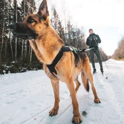 Non-stop dogwear Koiran Valjaat|Retkeily Koiran Kanssa*Non-stop Freemotion vetovaljas