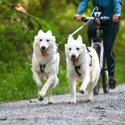 Non-stop dogwear Koiran Valjaat|Retkeily Koiran Kanssa*Non-stop Freemotion vetovaljas