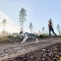 Non-stop dogwear Koiran Valjaat|Retkeily Koiran Kanssa*Non-stop Freemotion vetovaljas