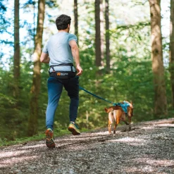 Non-stop dogwear Koiran Hihnat Ja Flexit|Retkeily Koiran Kanssa*Non-Stop juoksuvyö CaniX 2.0