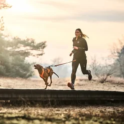 Non-stop dogwear Koiran Hihnat Ja Flexit|Retkeily Koiran Kanssa*Non-Stop juoksuvyö CaniX 2.0