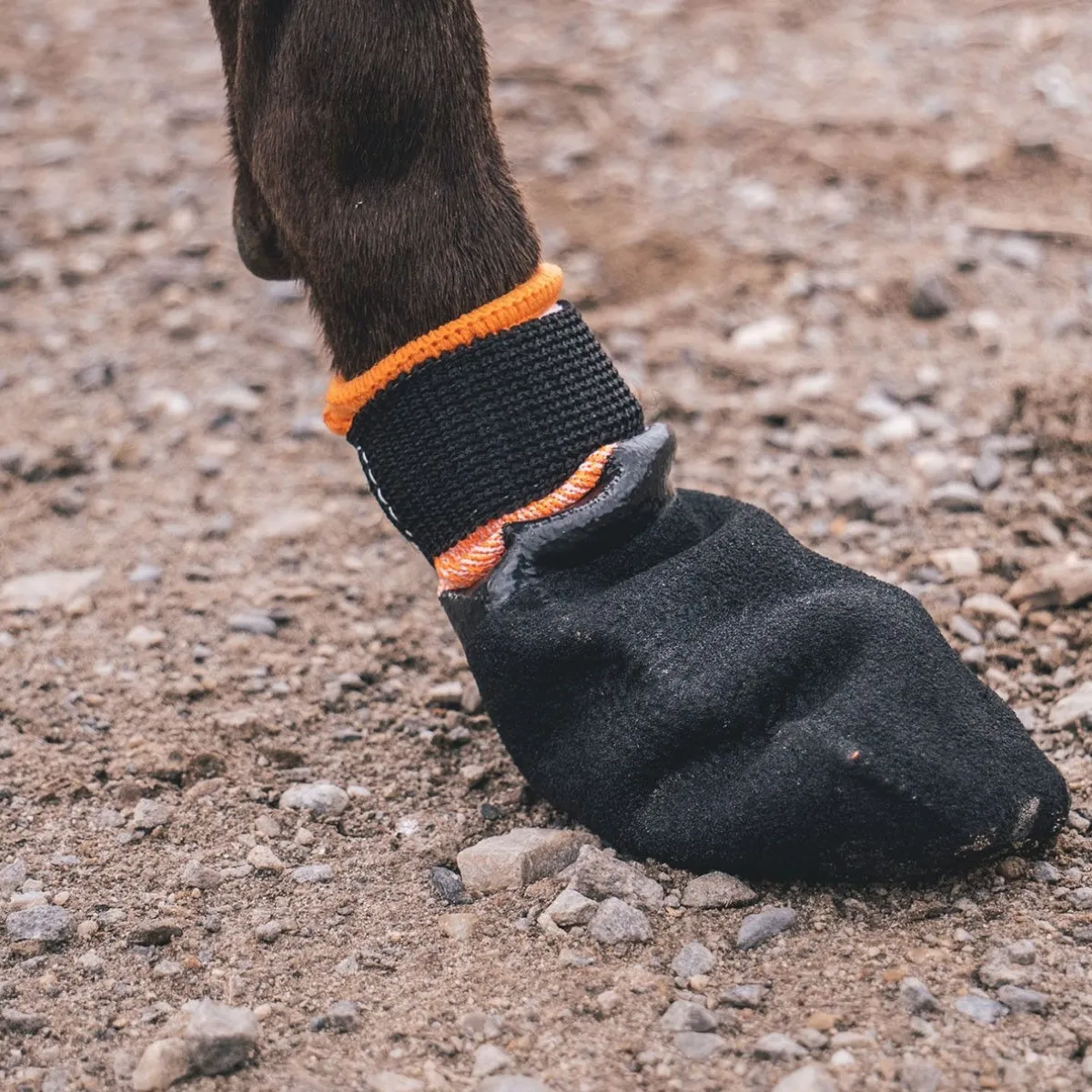 Non-stop dogwear Koiran Vaatteet|Koiran Tossut*Non-Stop Protector -koiran tossut, 4 kpl