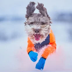 Non-stop dogwear Koiran Haalarit|Koiran Vaatteet*Non-Stop Protector Snow haalari, narttumalli