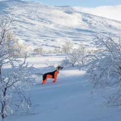 Non-stop dogwear Koiran Haalarit|Koiran Vaatteet*Non-Stop Protector Snow haalari, urosmalli