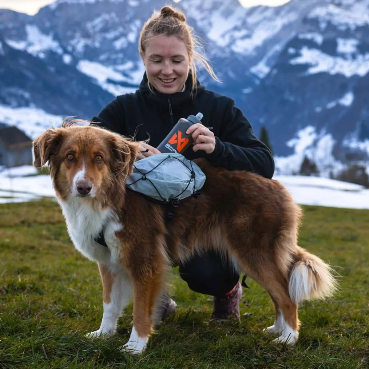 Non-stop dogwear Koiran Reput|Retkeily*Non-Stop Trail Light -koiran reppu