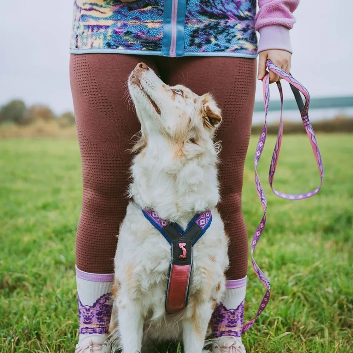 Non-stop dogwear Koiran Hihnat Ja Flexit*Non-stop Trail Quest Rachel Pohl talutushihna, 2m