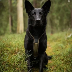 Non-stop dogwear Igp|Koiran Valjaat*Non-stop valjaat Line Grip Defense, vihreä