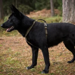 Non-stop dogwear Igp|Koiran Valjaat*Non-stop valjaat Line Grip Defense, vihreä