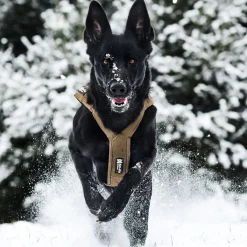 Non-stop dogwear Koiran Valjaat|Retkeily Koiran Kanssa*Non-stop vetovaljaat Freemotion Defense, vihreä