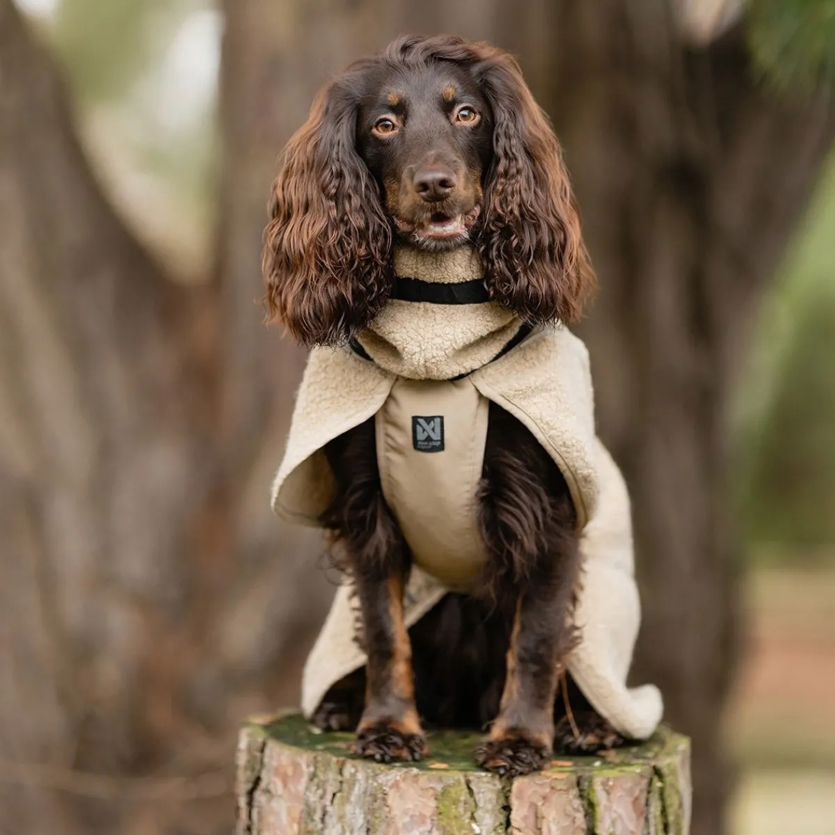 Non-stop dogwear Koiran Vaatteet|Koiran Takit*Non-Stop Wool koiran takki, beige