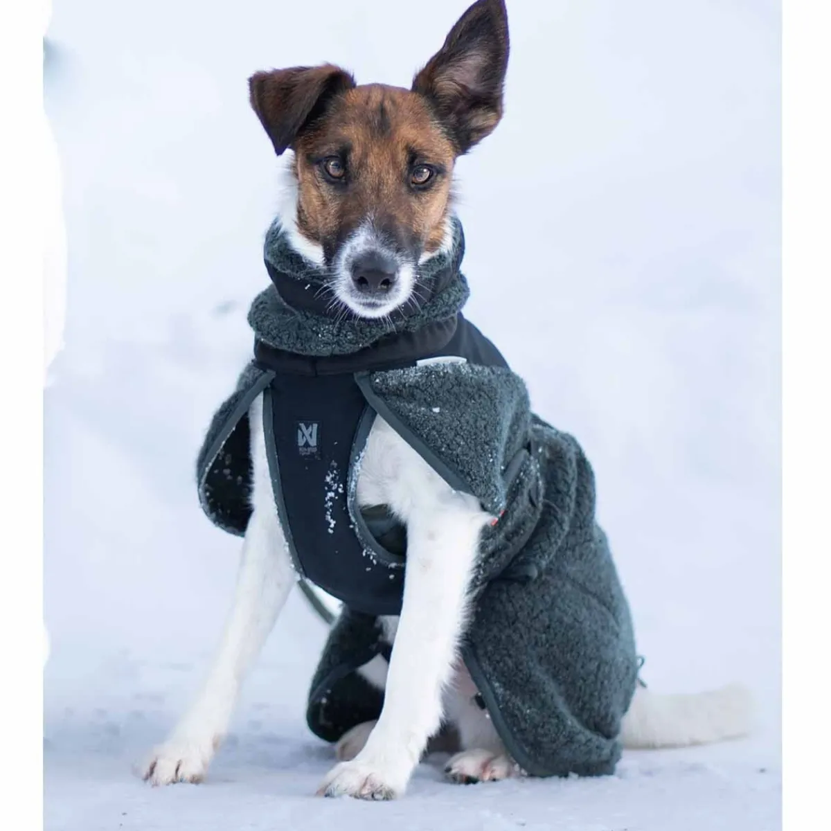Non-stop dogwear Koiran Vaatteet|Koiran Takit*Non-Stop Wool koiran villatakki