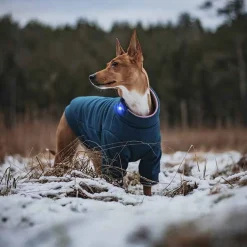 Orbiloc Koiran Valot*Dual -huomiovalo