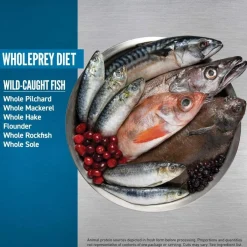 Orijen Koiran Kuivaruoka|Koiran Kuivaruoka*Six Fish