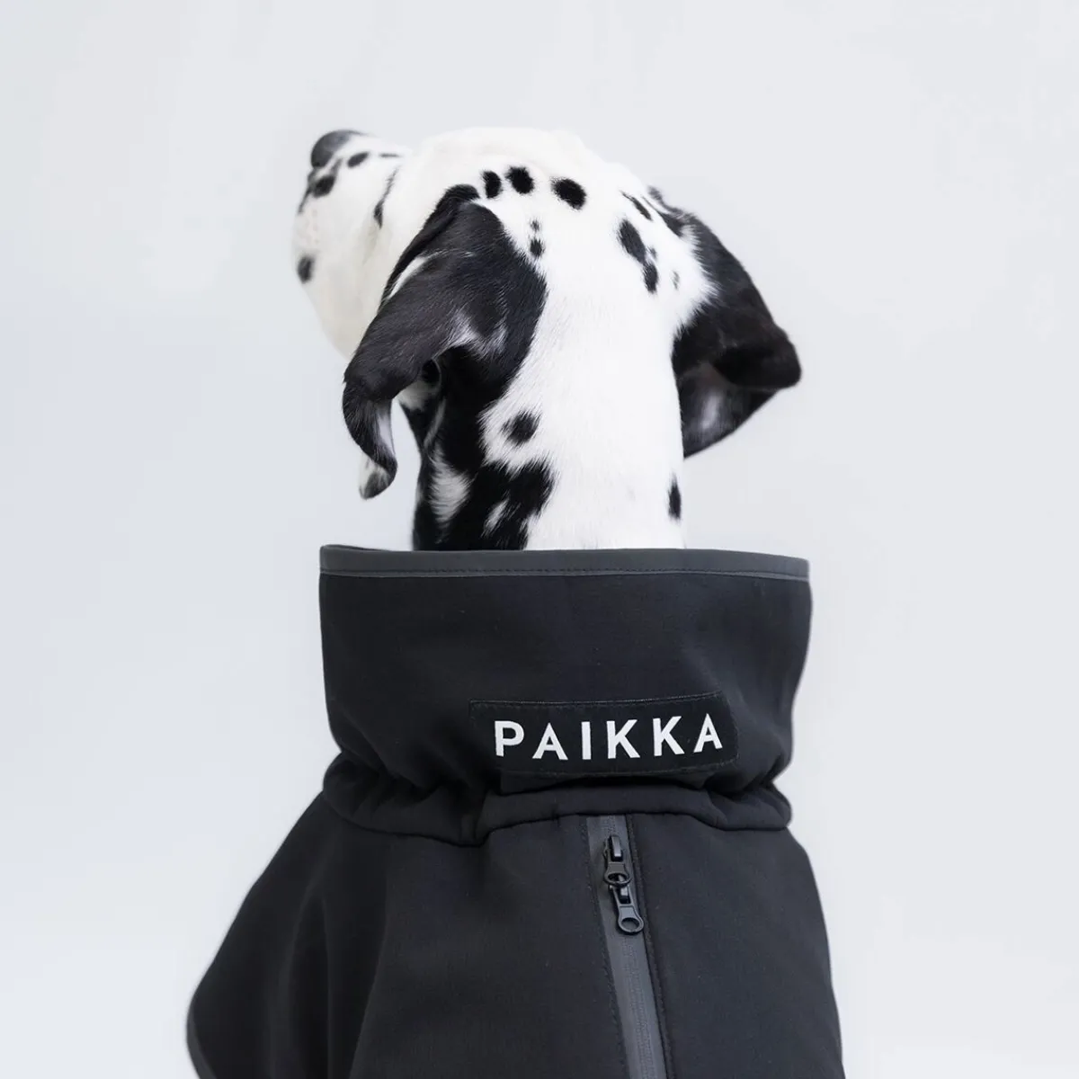 PAIKKA Koiran Vaatteet|Koiran Takit*Recovery Softshell-takki, musta