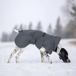 PAIKKA Koiran Heijastimet Ja Valot|Koiran Vaatteet*Visibility koiran talvitakki, dark