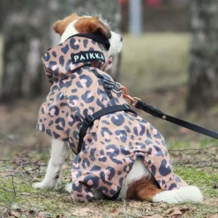 PAIKKA Koiran Heijastimet Ja Valot|Heijastavat Koiran Vaatteet*Visibility Raincoat Lite -koiran sadetakki, leo
