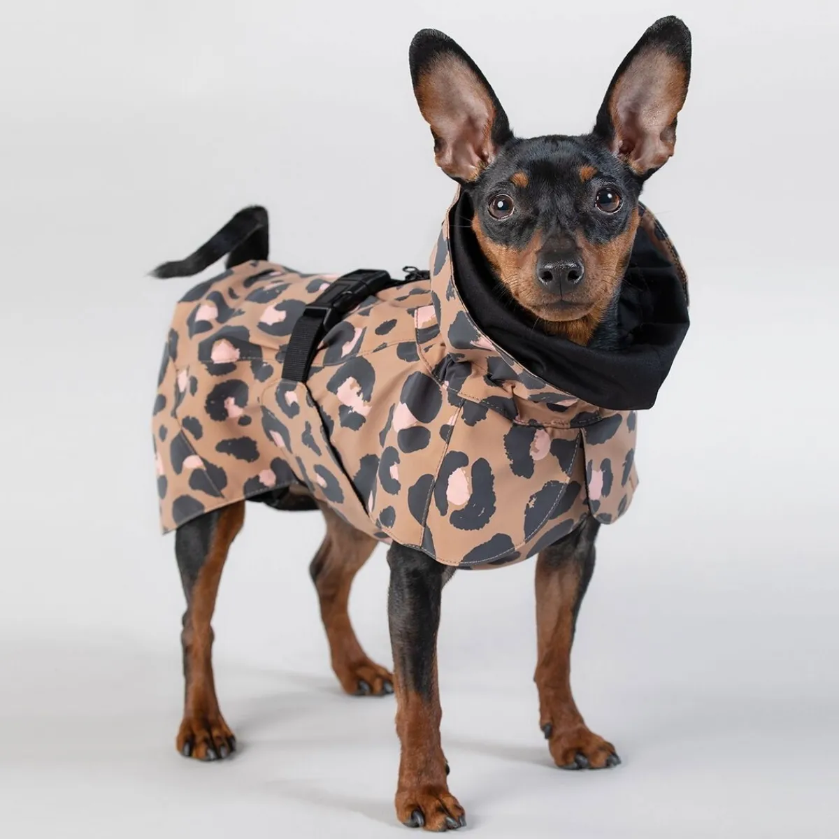 PAIKKA Koiran Heijastimet Ja Valot|Heijastavat Koiran Vaatteet*Visibility Raincoat Lite -koiran sadetakki, leo