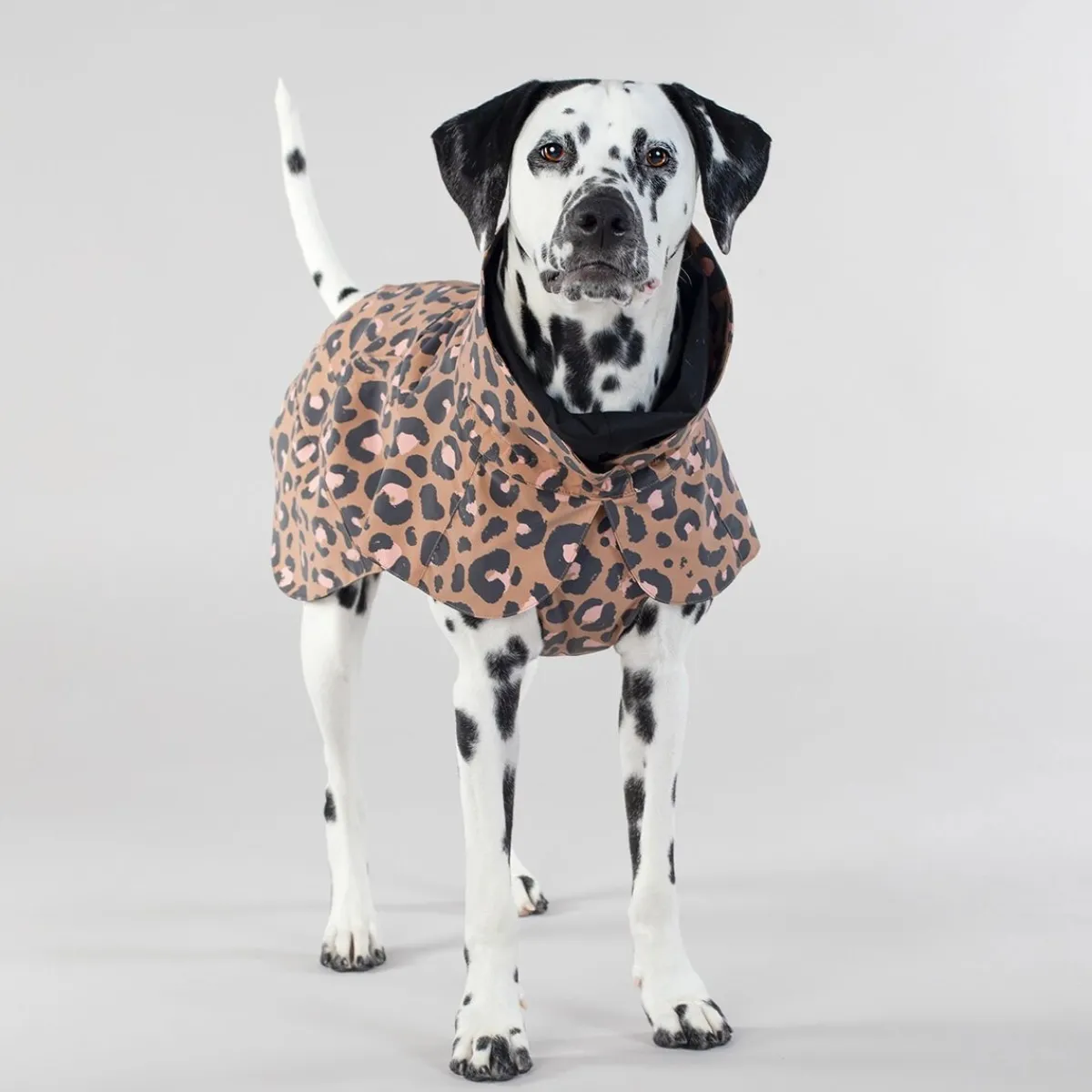 PAIKKA Koiran Heijastimet Ja Valot|Heijastavat Koiran Vaatteet*Visibility Raincoat Lite -koiran sadetakki, leo