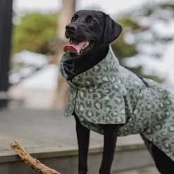 PAIKKA Heijastavat Koiran Vaatteet|Koiran Heijastimet Ja Valot*Visibility Raincoat Lite -sadetakki, green leo