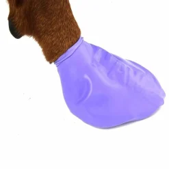 PawZ Koiran Vaatteet|Koiran Tossut*koiran suojatossut, 12 kpl
