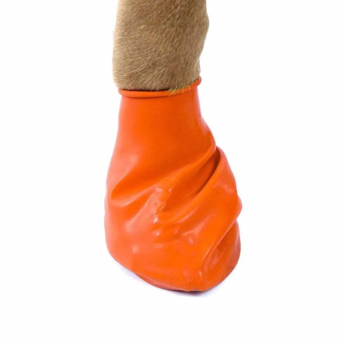 PawZ Koiran Vaatteet|Koiran Tossut*koiran suojatossut, 12 kpl