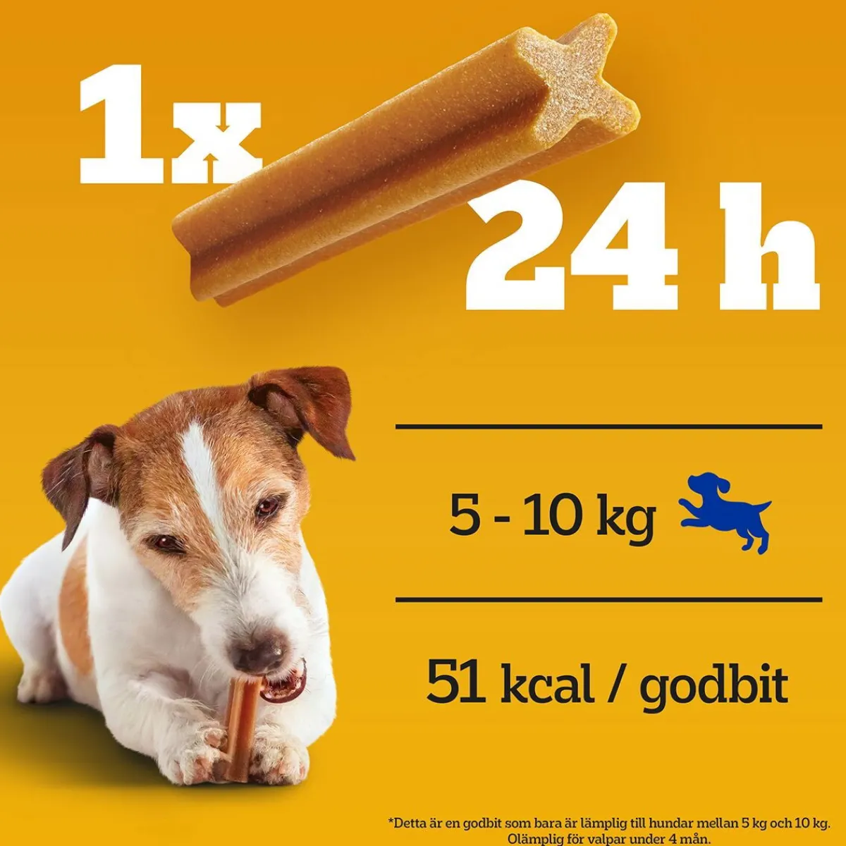 Pedigree Hammasherkut*Dentastix S 4x35-pack