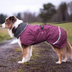 Pomppa Koiran Vaatteet|Koiran Sadetakki*Perus valjasaukolla, luumu