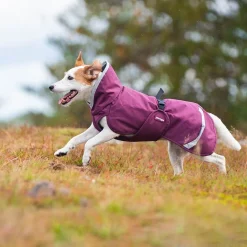 Pomppa Koiran Vaatteet|Koiran Sadetakki*Perus valjasaukolla, luumu