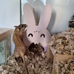 Duvoplus Pieneläinten Häkin Sisustus|Hamsterin Häkin Sisustus*Pesäkolo jyrsijälle Duvo+ pupu