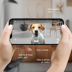 Petcube Koirakamerat|Lemmikkiteknologia*Bites 2 Lite -kamera