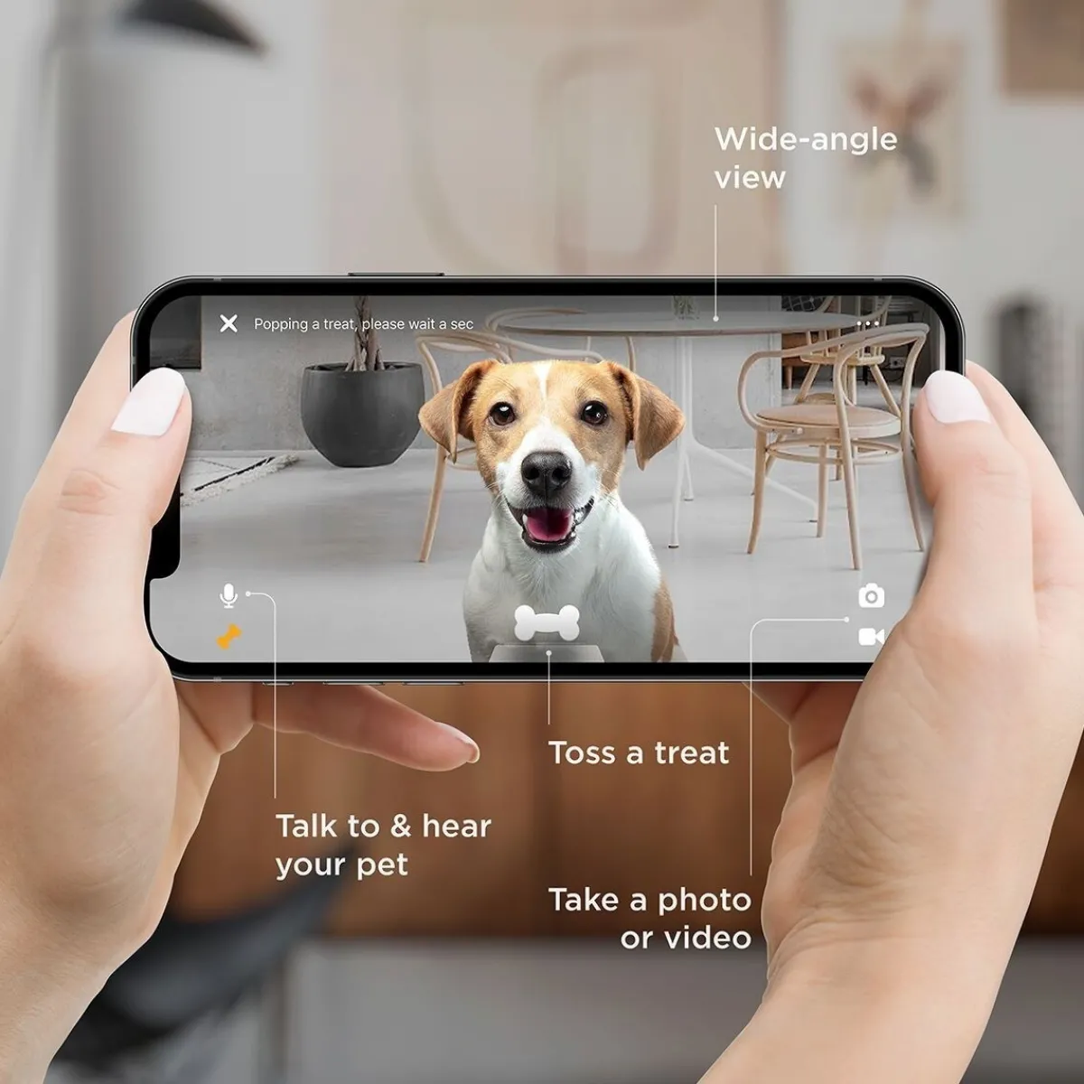 Petcube Koirakamerat|Lemmikkiteknologia*Bites 2 Lite -kamera