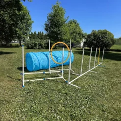 PetEasy Agility|Agility*Koiran agilityestesetti