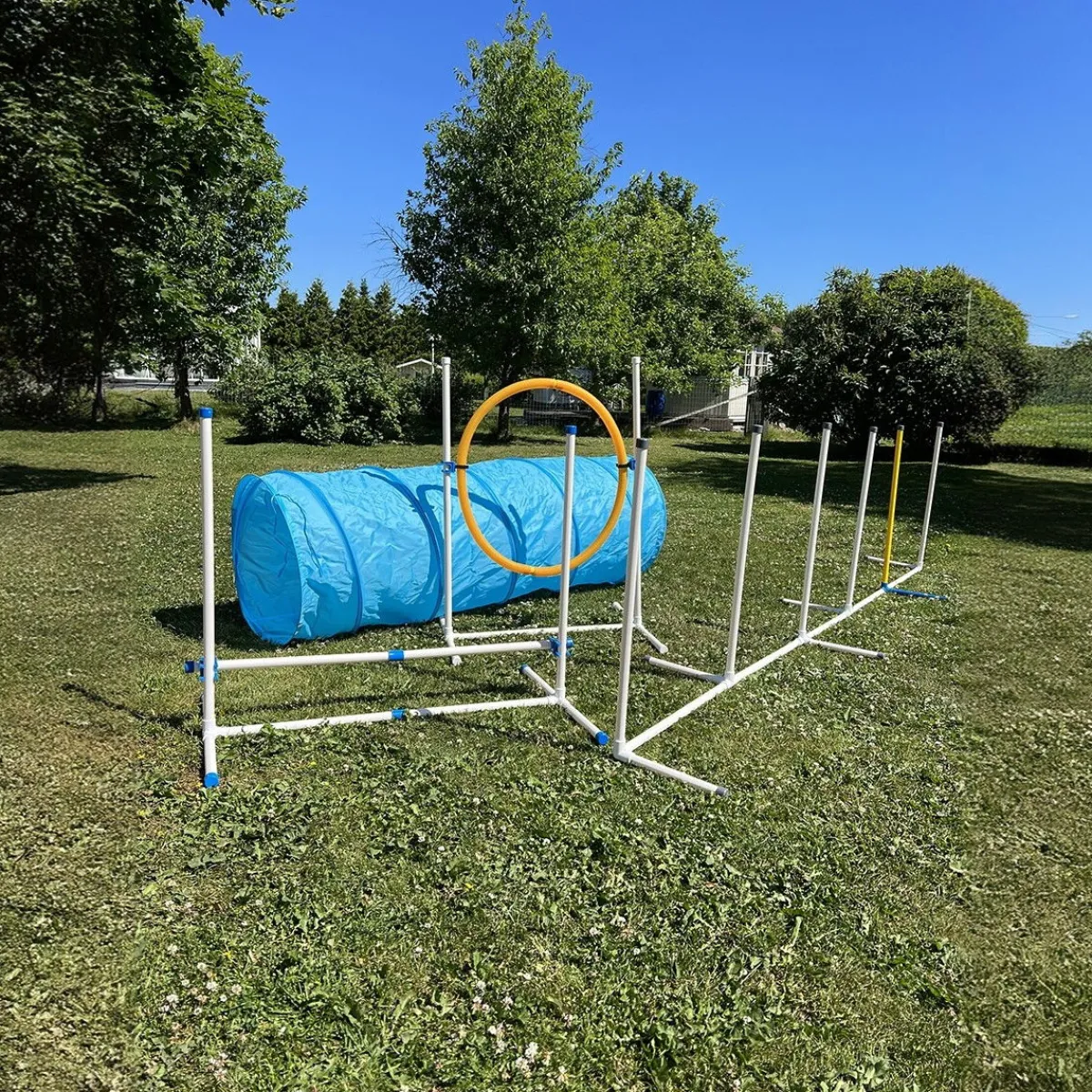 PetEasy Agility|Agility*Koiran agilityestesetti