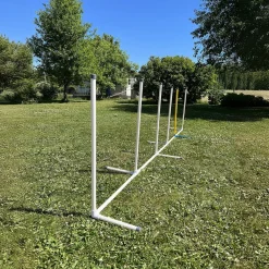 PetEasy Agility|Agility*Koiran agilityestesetti