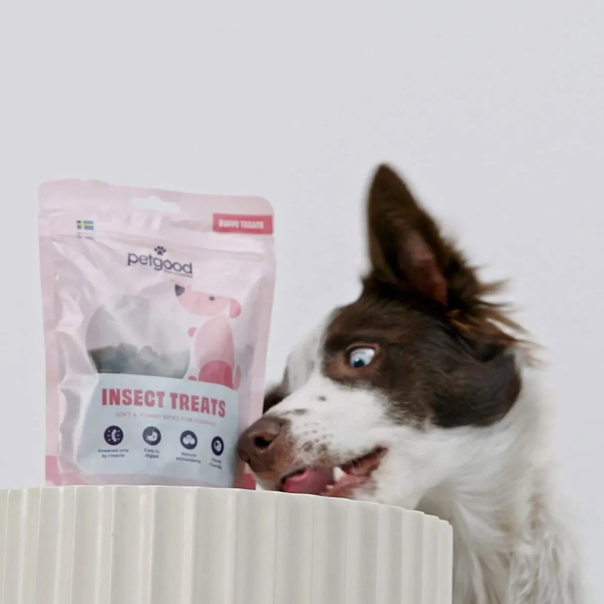 Petgood Koiranpennun Herkut|Pehmeät Koiran Herkut*hyönteispohjainen koiranherkku pennuille 100 g