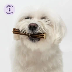Petgood Puruluut|Hammasherkut*hyönteispohjaiset purutikut