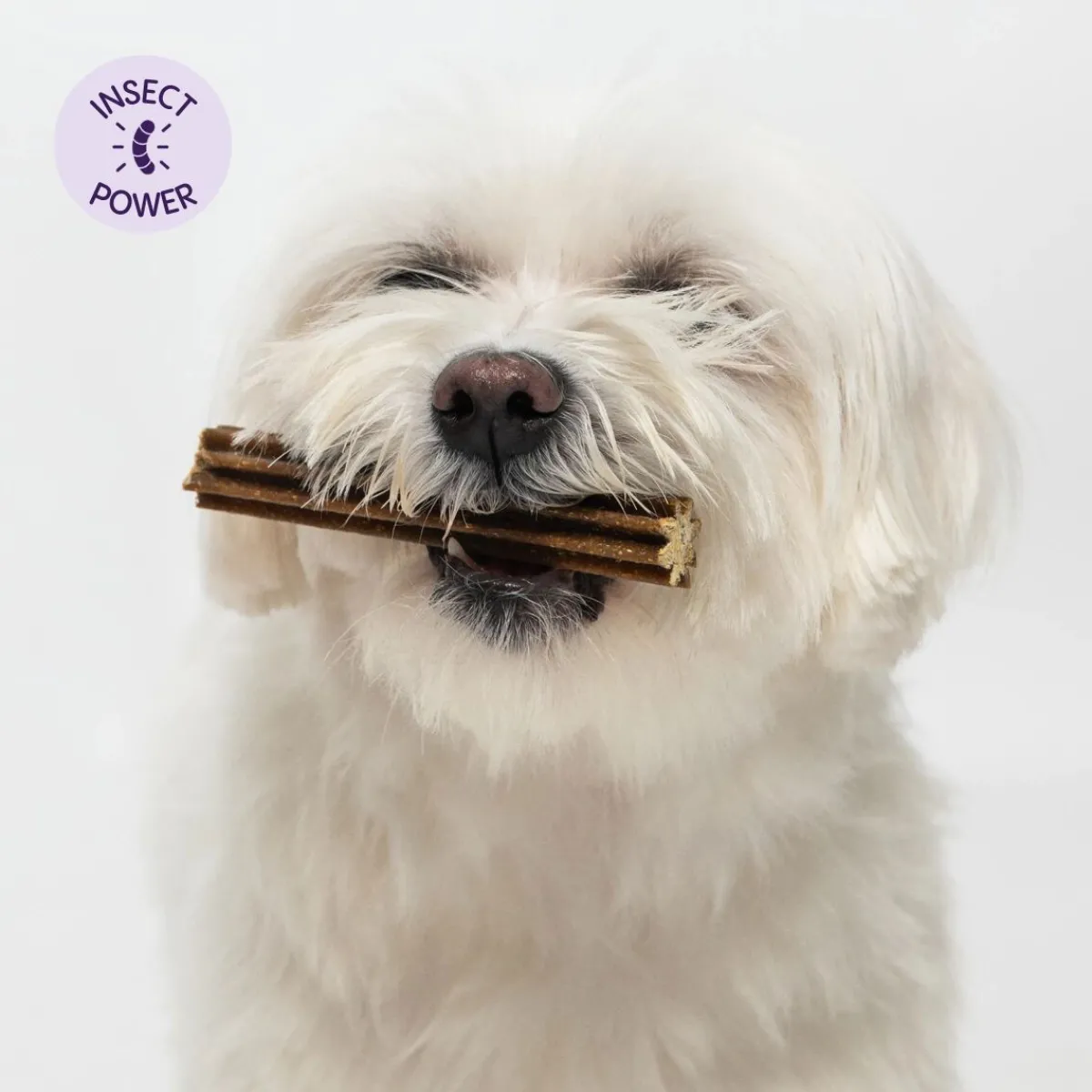 Petgood Puruluut|Hammasherkut*hyönteispohjaiset purutikut